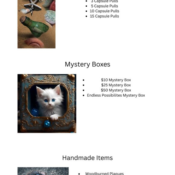 $25 Mystery Box - Picture 3 of 4